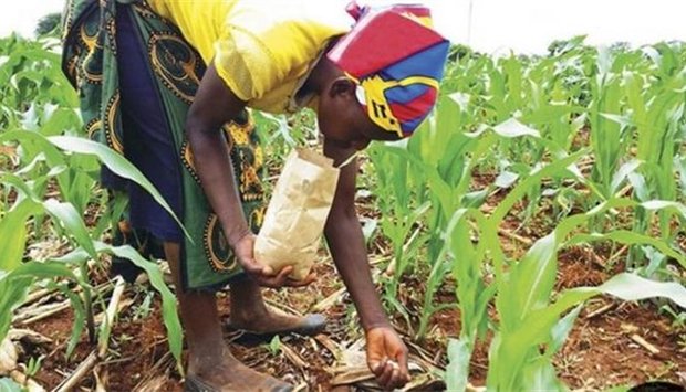 Preços dos fertilizantes sobem 30% em Angola