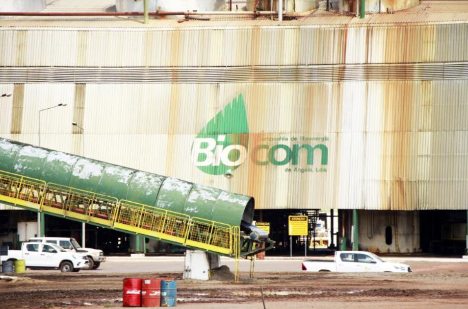 BIOCOM está praticamente falida